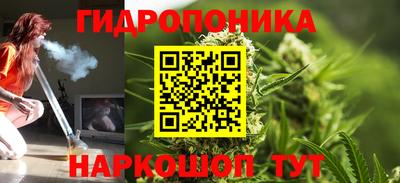 шишки Наро-Фоминск