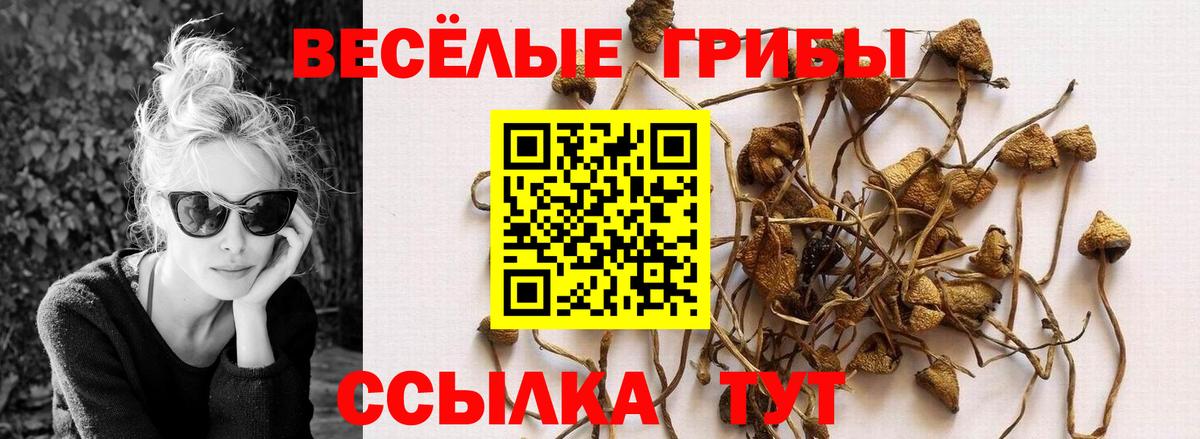 Псков  Псилоцибиновые грибы MAGIC MUSHROOMS  Вход с VPN 